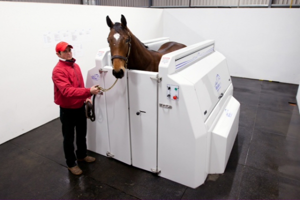 EquiSafe Spa hydrotherapy 4