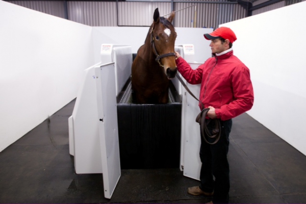 EquiSafe Spa hydrotherapy 3